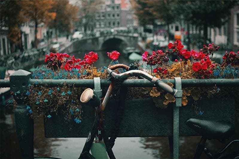 A bicycle beside an Amsterdam canal